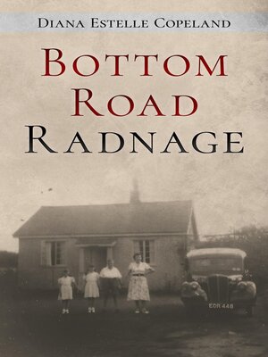 cover image of Bottom Road
